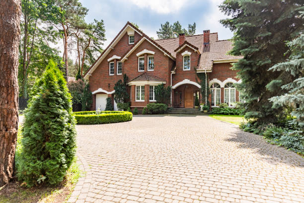 Best Driveway Paving Contractor  in Lost Hills, CA