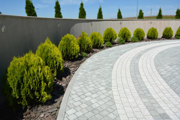 Best Concrete Paver Driveway  in Lost Hills, CA